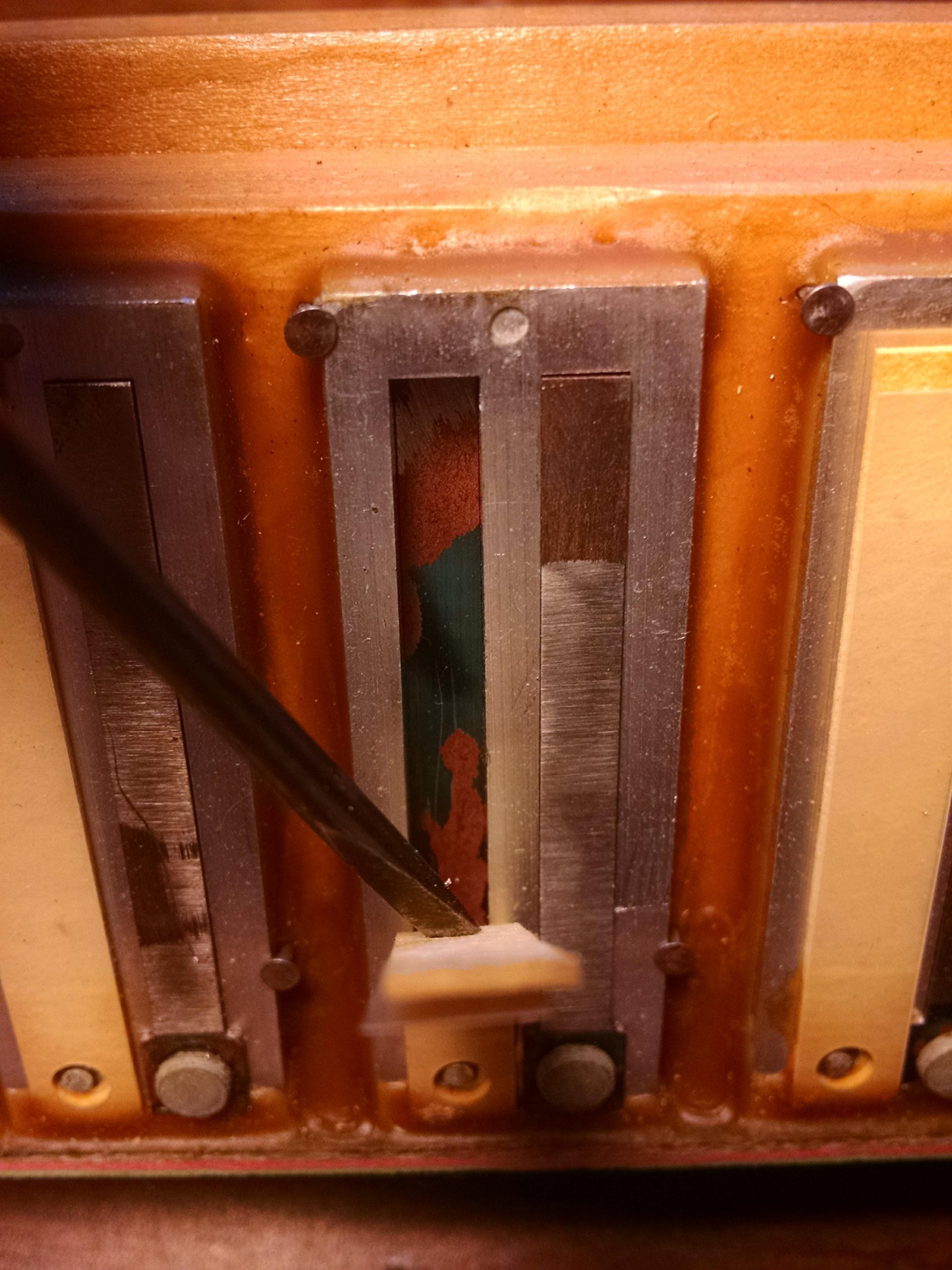 Tuning Reeds An Accordion Tuning Manifesto | Big Squeezy Accordion Repair and Tuning